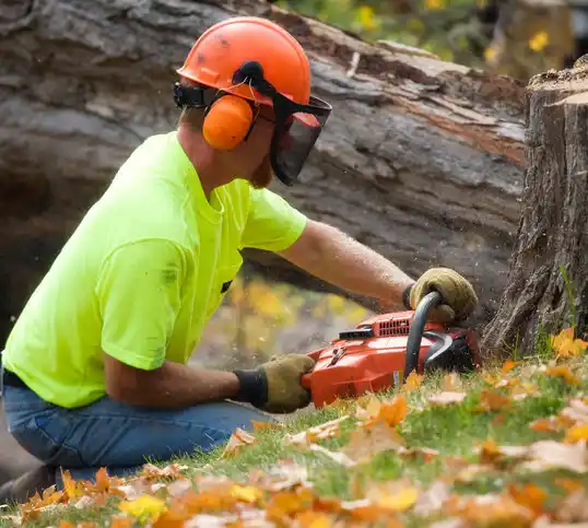 tree services East Canton